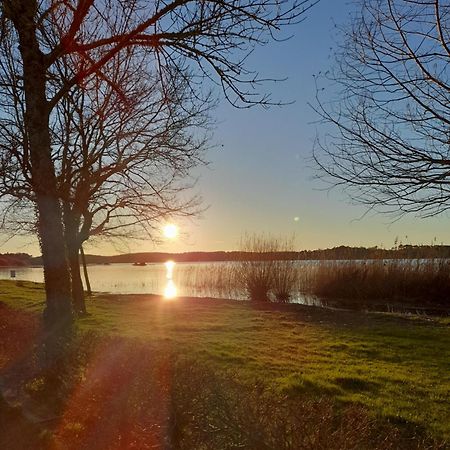 Appartement Les Terrasses Du Lac Aureilhan  Dış mekan fotoğraf
