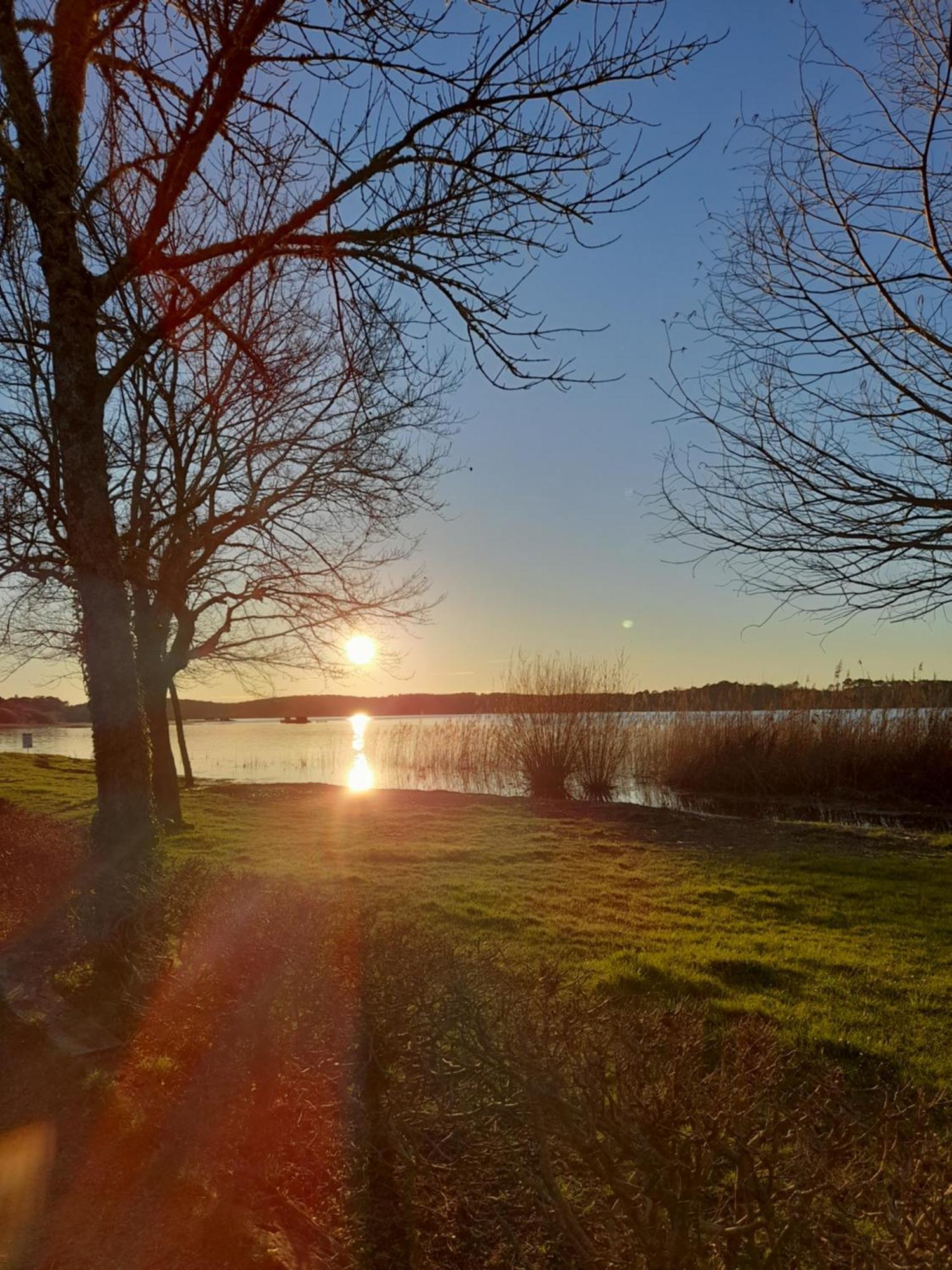 Appartement Les Terrasses Du Lac Aureilhan  Dış mekan fotoğraf
